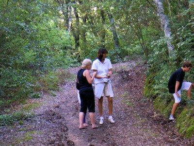 Holiday apartment Residence Solevacanze Typ K - Environment photo 18