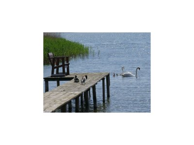 House boat Hausboot in Kröslin am Bodden - Environment photo 19