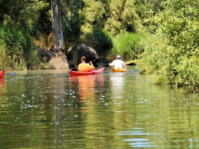 Villa Bougainville - Apartment Giansimona - Environment photo 12