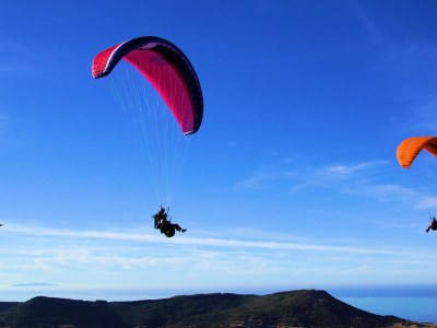 Villa Bougainville - Apartment Giansimona - Environment photo 20