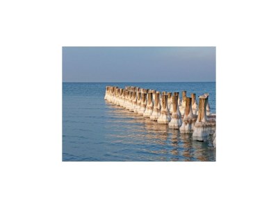 House boat Hausboot in Barth am Barther Bodden - Environment photo 24