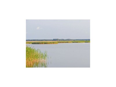 House boat Hausboot in Barth am Barther Bodden - Environment photo 16