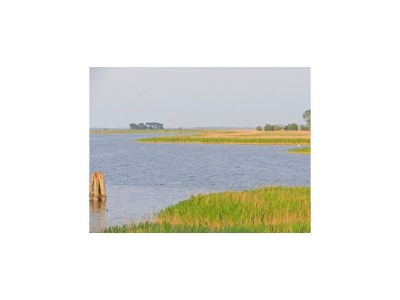 House boat Hausboot in Barth am Barther Bodden - Environment photo 15