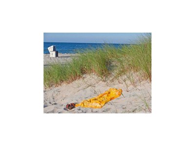 House boat Hausboot in Barth am Barther Bodden - Environment photo 18