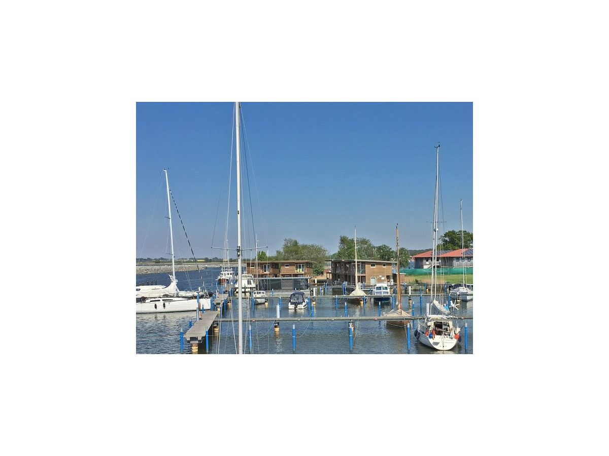 House boat Hausboot in Barth am Barther Bodden - Outdoor photo 3