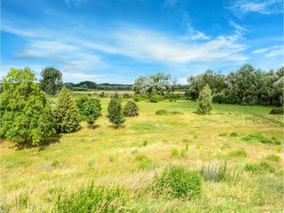 Holiday house skandinavisches Ferienhaus in Rechlin - Environment photo 18