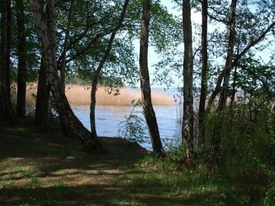 Holiday house skandinavisches Ferienhaus in Rechlin - Environment photo 19