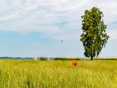 Holiday house skandinavisches Ferienhaus in Rechlin - Environment photo 33