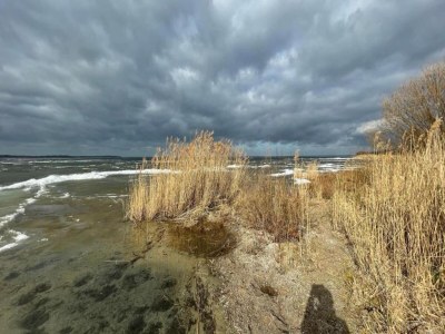 Holiday house Ferienhaus im Ferienpark Mueritz - Environment photo 21