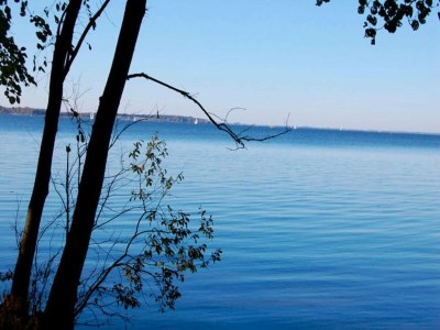 Holiday house Ferienhaus im Ferienpark Mueritz - Environment photo 28