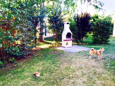 Holiday house Ferienhaus mit Sauna im Ferienpark Mirow - Outdoor photo 3