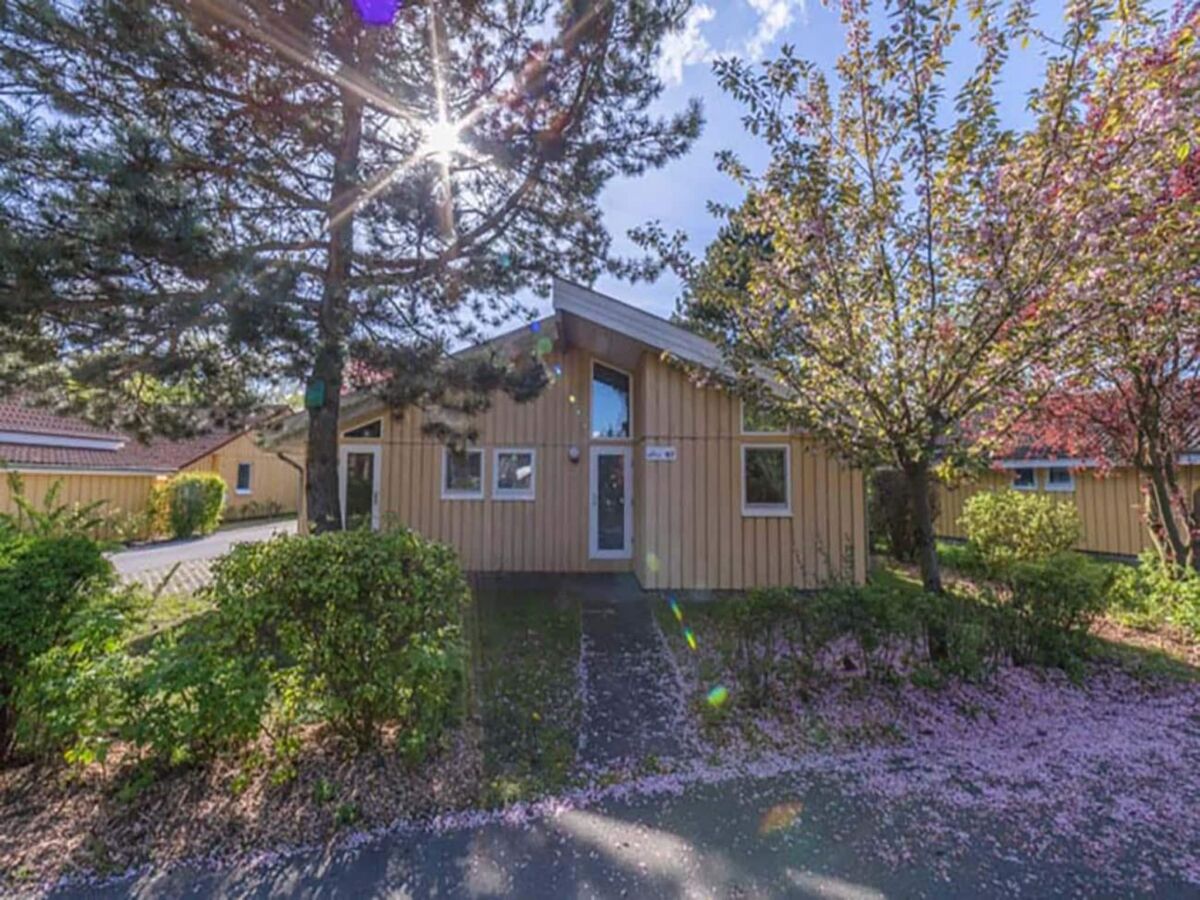 Holiday house Ferienhaus mit Sauna im Ferienpark Mirow - Outdoor photo 2