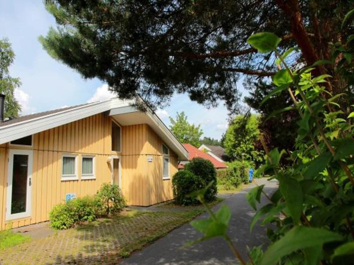 Holiday house Ferienhaus mit Sauna im Ferienpark Mirow - Outdoor photo 3