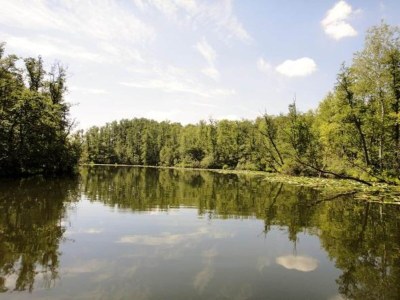 Holiday house Ferienhaus mit Sauna im Ferienpark Mirow - Environment photo 19