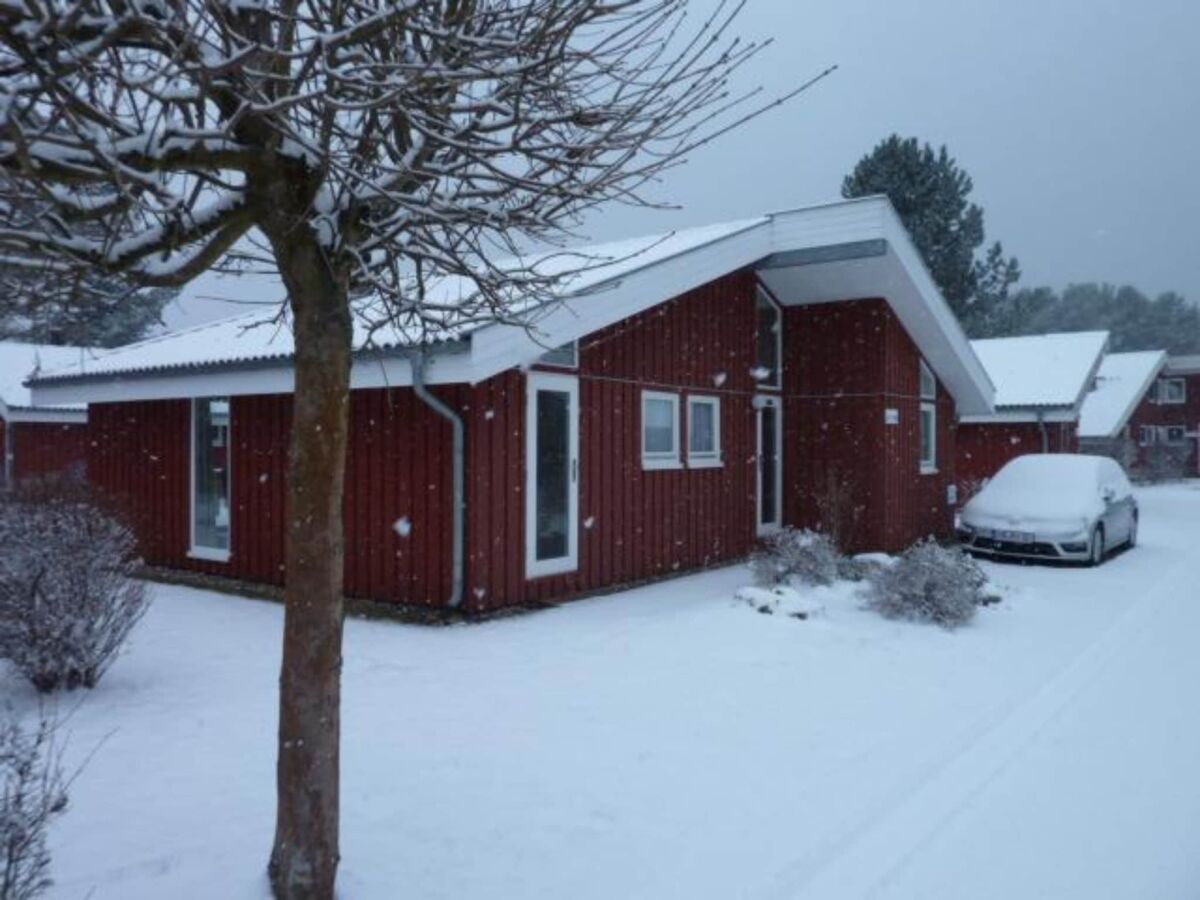 Holiday house Ferienhaus mit Sauna im Ferienpark Mirow - Outdoor photo 4