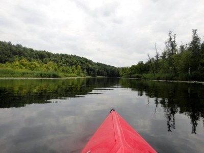 Holiday house Ferienhaus mit Sauna im Ferienpark Mirow - Environment photo 23