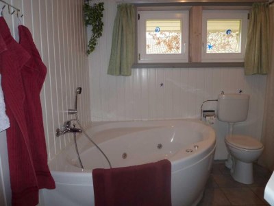Holiday house Ferienhaus mit Sauna im Ferienpark Mirow - Features photo 5