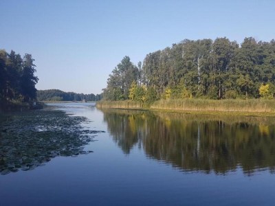 Holiday house Ferienhaus mit Sauna im Ferienpark Mirow - Environment photo 12