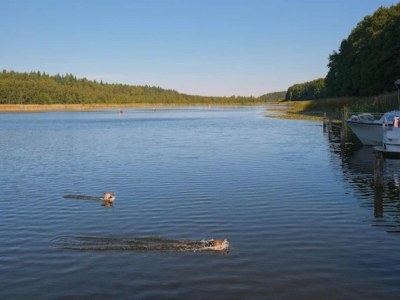 Holiday house Ferienhaus mit Sauna im Ferienpark Mirow - Environment photo 14