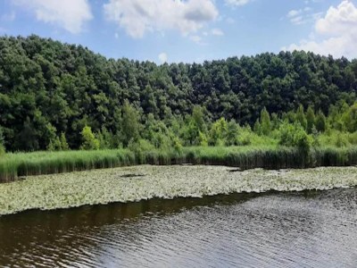 Holiday house Ferienhaus mit Sauna im Ferienpark Mirow - Environment photo 20
