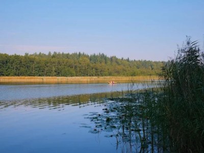 Holiday house Ferienhaus mit Sauna im Ferienpark Mirow - Environment photo 22