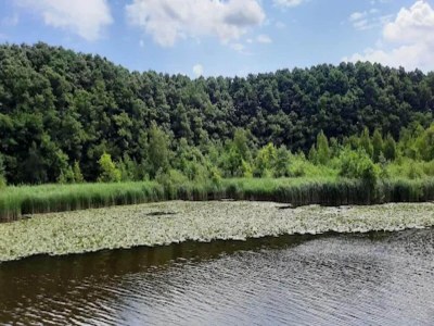 Holiday house Ferienhaus mit Sauna im Ferienpark Mirow - Environment photo 8