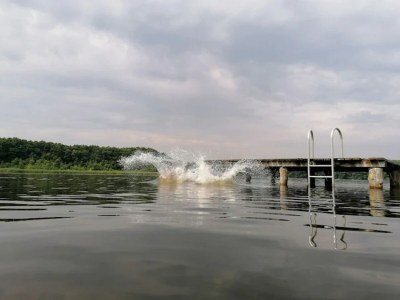 Holiday house Ferienhaus mit Sauna im Ferienpark Mirow - Environment photo 22