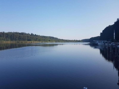 Holiday house Ferienhaus mit Sauna im Ferienpark Mirow - Environment photo 32