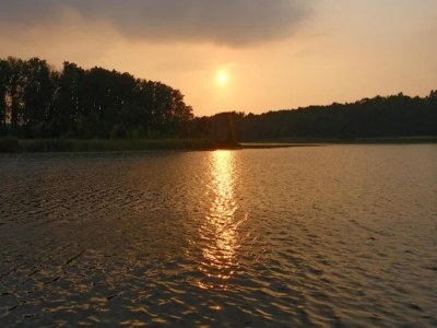 Holiday house Ferienhaus mit Sauna im Ferienpark Mirow - Environment photo 39