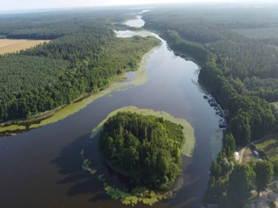 Holiday house Ferienhaus mit Sauna im Ferienpark Mirow - Environment photo 41