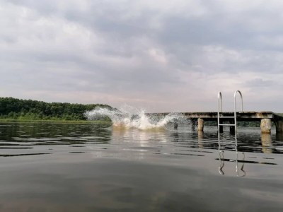 Holiday house Ferienhaus mit Sauna im Ferienpark Mirow - Environment photo 43