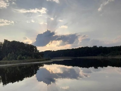 Holiday house Ferienhaus mit Sauna im Ferienpark Mirow - Environment photo 45