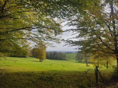 Apartment Glamping in Signy-l’Abbaye - Environment photo 16