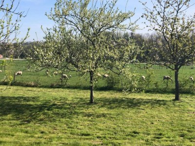Apartment Glamping in Signy-l’Abbaye - Environment photo 18
