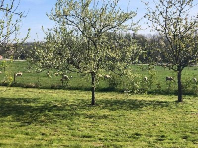 Apartment Glamping in Signy-l’Abbaye - Environment photo 32