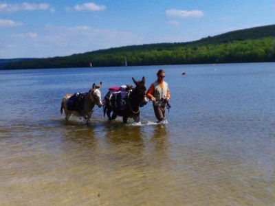 Apartment Charmante Wohnung in den Ardennen - Environment photo 17