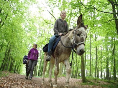 Apartment Glamping Stay in the Ardennes - Environment photo 19