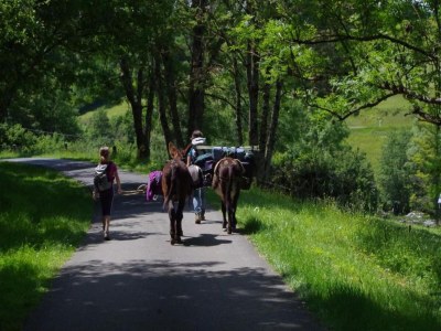 Apartment Glamping Stay in the Ardennes - Environment photo 20