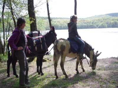 Apartment Glamping Stay in the Ardennes - Environment photo 22
