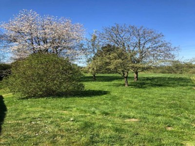 Apartment Ferienhaus in Grand Est - Environment photo 21