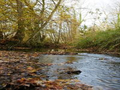 Apartment Ferienhaus in Grand Est - Environment photo 25