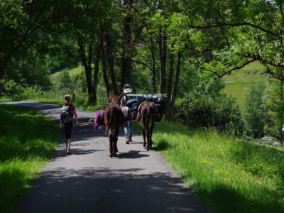 Apartment Ferienhaus in Grand Est - Environment photo 43