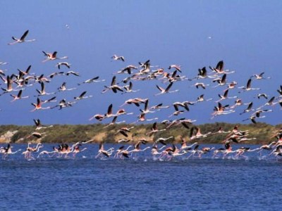 Apartment Küstenkomfort für Vier - Environment photo 22