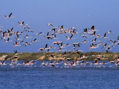 Apartment Küstenkomfort für Vier - Environment photo 50