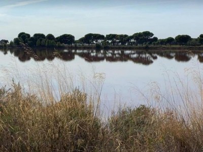 Apartment Küstenkomfort für Vier - Environment photo 51