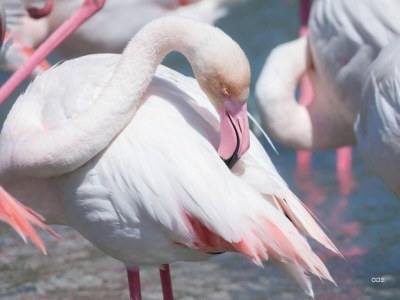 Apartment Küstenkomfort für Vier - Environment photo 57