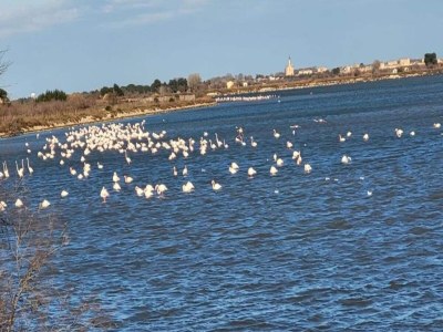 Apartment Gemütliche Wohnung am Meer - Environment photo 23
