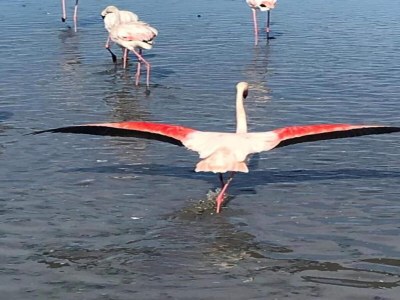 Apartment Gemütliche Wohnung am Meer - Environment photo 28