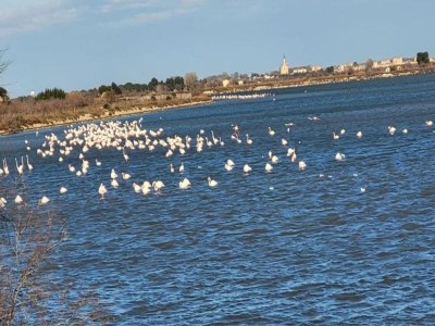 Apartment Gemütliche Wohnung am Meer - Environment photo 32