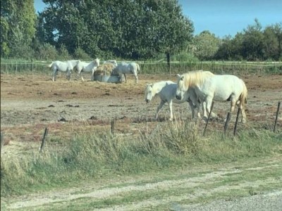 Apartment Gemütliche Wohnung am Meer - Environment photo 39
